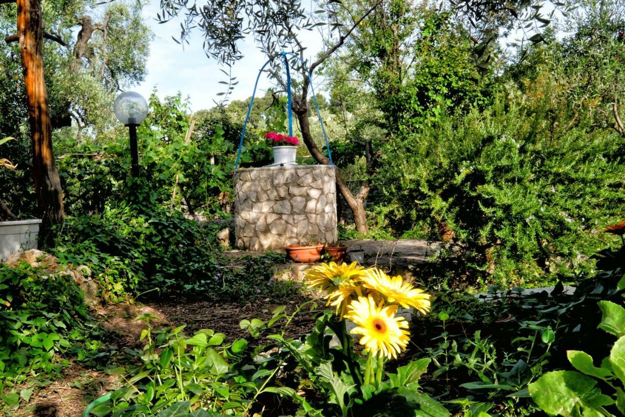 Terra Di Ulivo Villa เวียสเต ภายนอก รูปภาพ