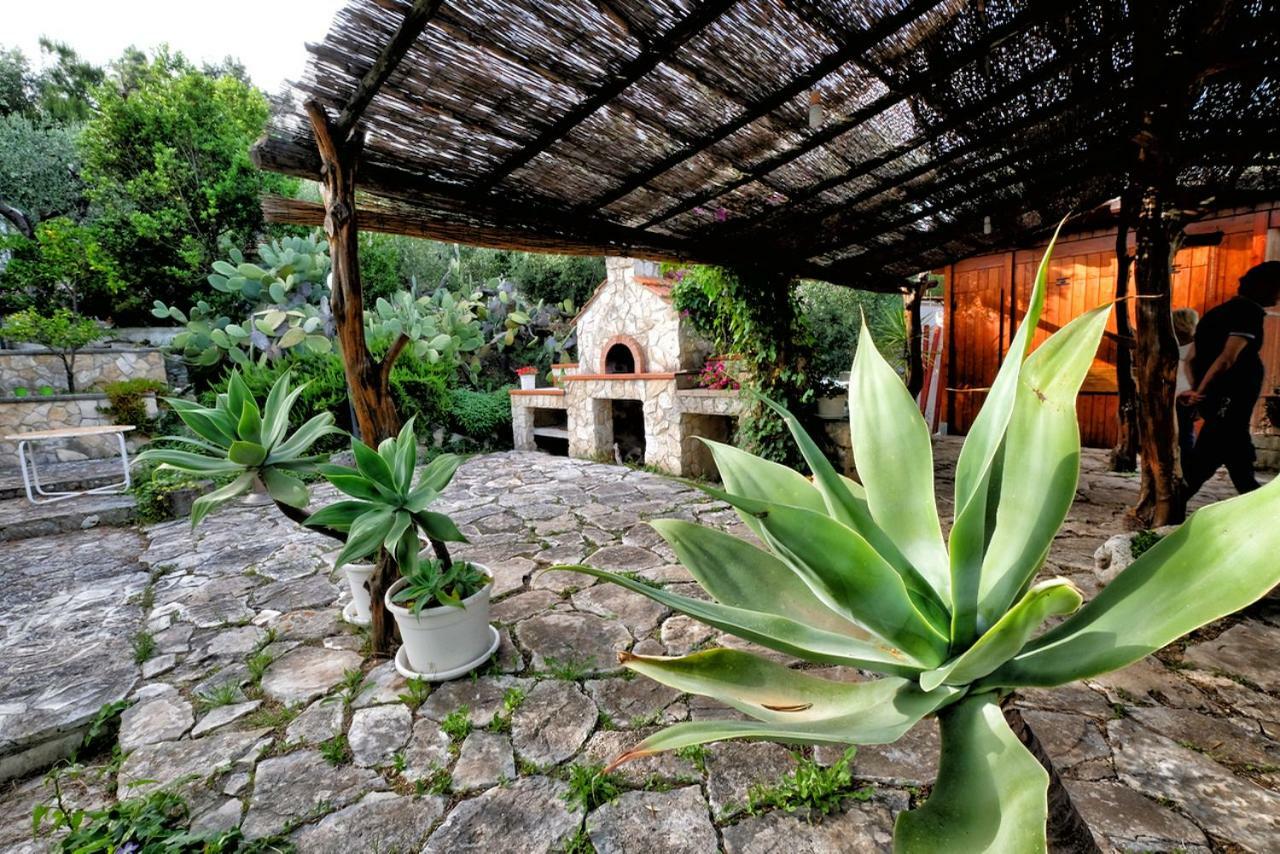 Terra Di Ulivo Villa เวียสเต ภายนอก รูปภาพ